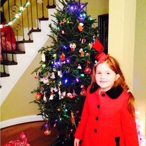 Rothschild Red Coat with Black Velvet Collar